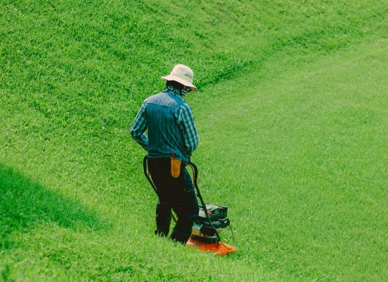 Back view of a man mowing grass on a sunny day with a vibrant green lawn.